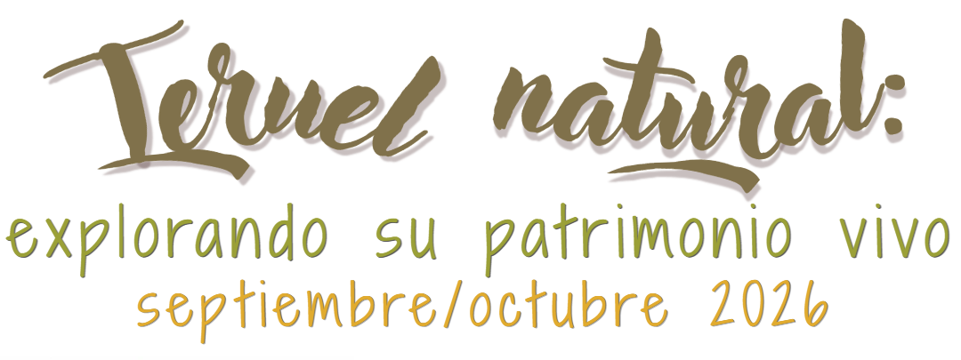TERUEL AL NATURAL – OLIETE